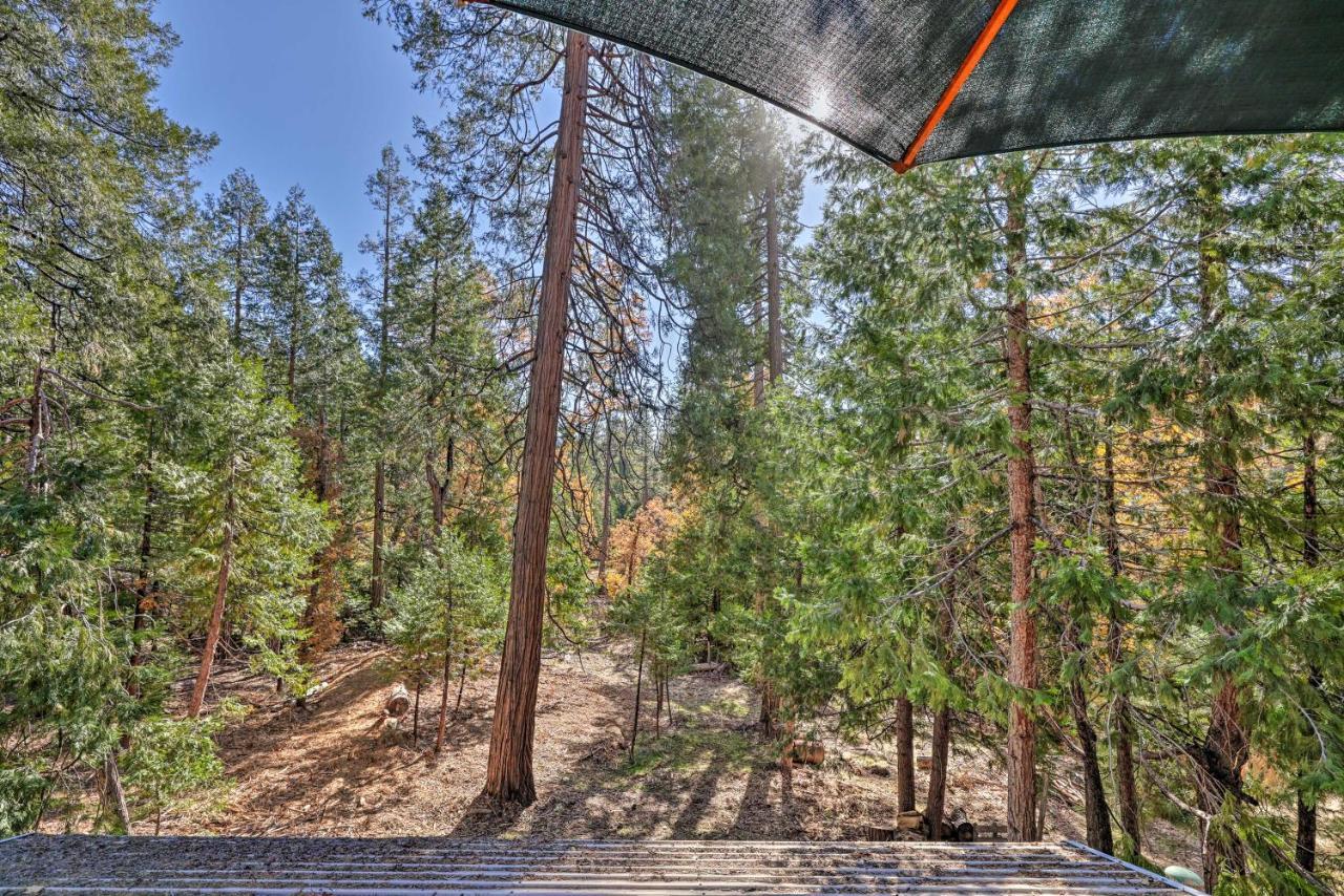 Quiet Twain Harte Cabin With Deck And Forest Views! Eksteriør bilde